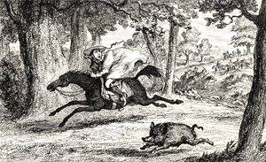 Le cardinal Jean de Belue chassant un sanglier, illustration de 